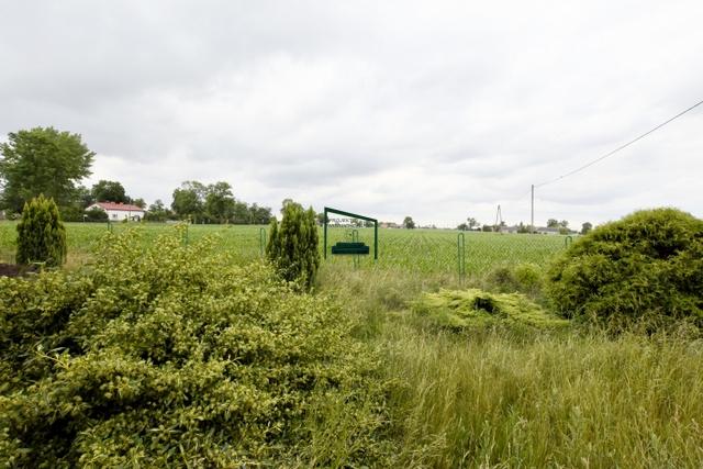 Gospodarstwo rolne- Cząstków pod Kłodawą